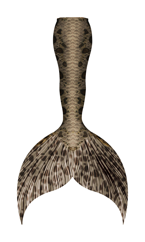 Leopard Shark Mermaid Tail